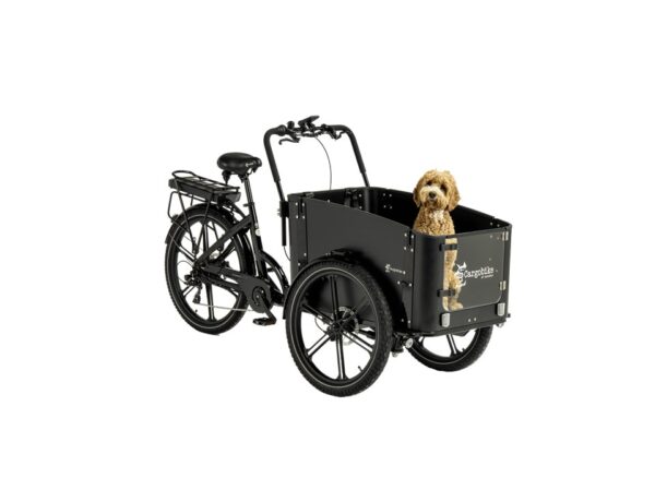 *Cargobike Flex Dog