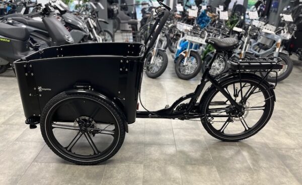 *Cargobike Flex Dog - Bild 2