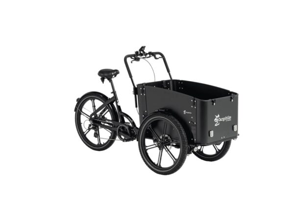 *Cargobike Delight